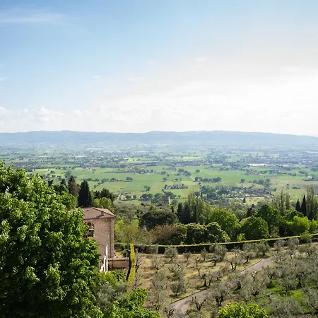 Belvedere 2*