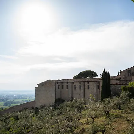 Belvedere 2*