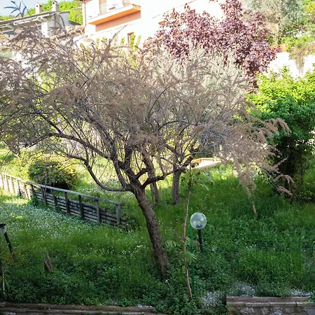 Belvedere Hotel Assisi