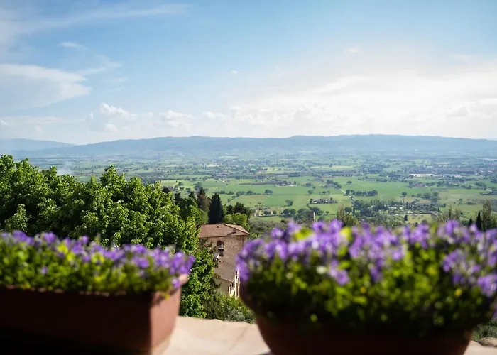 벨베데레 호텔 2*